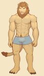  2021 abs anthro biceps boxer_briefs brown_hair bulge claws clothed clothing felid finger_claws fur hair hi_res jrjresq lion male mammal mane mane_hair muscular muscular_anthro muscular_male nipples pantherine pecs pubes quads simple_background solo standing tan_body tan_fur toe_claws triceps underwear whiskers 