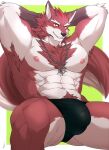  abs absurd_res anthro armpit_hair body_hair bulge canid canine chest_hair chest_tuft clothed clothing diederich_olsen_(knights_college) fur hi_res ig1119 jewelry knights_college looking_at_viewer male mammal muscular muscular_male necklace nipples no_shirt pecs red_body red_fur sitting solo speedo swimwear tan_body tan_fur teacher topless tuft underwear 