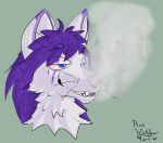  2020 anthro blue_eyes canid canine digital_media_(artwork) drugs fox fur grin hi_res male mammal marijuana pink_sclera purple_body purple_fur ren_winterfox_(artist) ren_winterfox_(character) simple_background smile smoke_from_mouth smoke_from_nose solo teeth whiskers white_body white_fur 