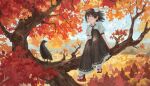  1girl autumn_leaves belt bird black_hair black_skirt blue_sky cloud crow day fjsmu geta hair_blowing hat highres in_tree knee_up looking_at_viewer mountainous_horizon outdoors petticoat pointy_ears pom_pom_(clothes) puffy_short_sleeves puffy_sleeves red_eyes red_footwear red_headwear shameimaru_aya shirt short_hair short_sleeves sitting skirt sky smile solo tabi tengu-geta tokin_hat touhou tree white_legwear white_shirt wind wind_lift 