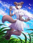  2020 5_fingers anthro beastars blue_eyes canid canine canis clothed clothing cloud digital_media_(artwork) dress female fingers hi_res juno_(beastars) ketty looking_back mammal open_mouth open_smile paws sky smile solo text url wolf 