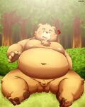  2021 absurd_res anthro belly blush brown_body brown_fur debudave_12 fur genitals hi_res humanoid_hands kemono male mammal micropenis moobs navel nipples outside overweight overweight_male penis sitting small_penis solo ursid 