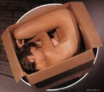  box cardboard_box in_box in_container nipples nude photo solo 