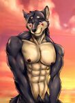  2015 abs anthro bleakcat canid canine canis digital_media_(artwork) fur half-length_portrait looking_at_viewer male mammal muscular muscular_male nipples nude portrait pubes red_eyes sky smile solo standing wolf 