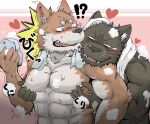  &lt;3 2009 anthro barazoku blush brown_body brown_fur canid canine duo fur japanese_text male male/male mammal misokemo muscular muscular_male nipples pecs text towel 