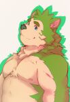  2021 absurd_res anthro canid canine canis domestic_dog fur green_body green_fur heylaw21 hi_res kemono live-a-hero male mammal mokdai moobs nipples simple_background solo video_games 