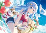  animal blue_hair clouds dog emori_miku emori_miku_project flowers long_hair shorts sky suimya water 