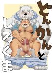  2021 anthro balls blush bottomwear censored chobikuma clothing duo dwarf erection fur genitals hi_res humanoid japanese_text kemono male male/male mammal musclegut overweight overweight_male pants penis polar_bear text ursid ursine white_body white_fur 