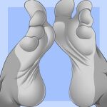  1:1 4_toes anthro canid canine canis chloe_shiwulf cyborg-steve feet female foot_focus fur grey_body grey_fur hi_res humanoid_feet mammal solo toes wolf wrinkled_feet wrinkles 