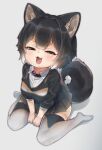  1girl :3 :d animal_ear_fluff animal_ears bangs between_legs black_eyes black_hair black_skirt collar dog_ears dog_girl dog_tail fang gradient_hair grey_background hand_between_legs looking_at_viewer multicolored_hair no_shoes nyifu open_mouth original pleated_skirt short_hair simple_background sitting skirt smile solo squinting tail thighhighs wariza white_hair wing_collar 
