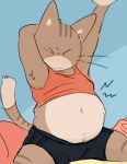  anthro belly clothing domestic_cat eyes_closed felid feline felis mammal navel overweight sitting solo sugarcave underwear 