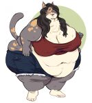  anthro blush bottomwear breasts clothing felid feline female hi_res humanoid_hands mammal obese overweight shorts simple_background solo sugarcave 