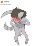  2021 alien anthro ask_blog big_penis blush brown_hair crotch_tuft english_text fingers_together flaccid fur genitals grey_body grey_fur hair lagomorph leporid loki_(lowkeytoast) looking_away lowkey_nottoast male mammal nude penis pubes rabbit short_hair simple_background sketch solo standing striped_tail stripes text toony tuft white_background 