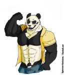  absurd_res anthro beastars clothed clothing fan_art_digital giant_panda gouhin hi_res male mammal muscular muscular_male open_clothing open_shirt open_topwear scar shirt smile solo sybervenn topwear ursid 