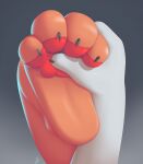  ambiguous_gender ambiguous_species anthro black_background black_body black_claws claws close-up digital_media_(artwork) duo fingers foot_fetish foot_focus foot_grab gradient_background grey_background hi_res nude orange_body pawpads rysonanthrodog simple_background white_body 