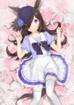  1girl animal_ears bangs black_bow black_hair blue_flower blue_headwear blue_rose blue_shirt bow collarbone commentary_request feet_out_of_frame flower hair_over_one_eye hands_up hat hat_flower horse_ears horse_girl horse_tail ice_(ice_aptx) long_hair looking_at_viewer lying on_back parted_lips pink_flower pink_rose pleated_skirt puffy_short_sleeves puffy_sleeves purple_eyes rice_shower_(umamusume) rose school_uniform shirt short_sleeves skirt solo tail thighhighs tilted_headwear tracen_school_uniform umamusume very_long_hair white_flower white_legwear white_rose white_skirt 