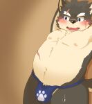  anthro asian_clothing belly blush bulge canid canine canis clothing domestic_dog east_asian_clothing fundoshi hi_res ib japanese_clothing male mammal moritaka mulitcolored_fur nipples scar slightly_chubby solo tokyo_afterschool_summoners underwear video_games 