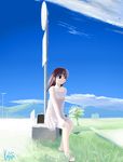  brown_hair cloud copyright_request day dress grass kajiji morning peaceful road_sign sign sky solo suitcase wind 