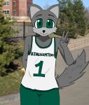  anonymous_artist anthro basketball_shorts baxter_bearcat binghamton_university binturong clothed clothing college fully_clothed hi_res male mammal mascot school shirt solo standing tank_top topwear viverrid 