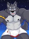  adastra adastra_(series) amicus_(adastra) anthro black_body black_fur canid canine canis clothing echo_project frankescobarx fur grey_body grey_fur hi_res male mammal multicolored_body multicolored_fur muscular video_games visual_novel wolf 