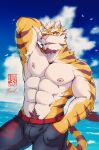  abs anthro badtiger biceps bottomwear clothing detailed_background facial_hair felid fur hair hi_res male mammal muscular muscular_anthro muscular_male nipples outside pantherine pecs seaside sky solo stripes tiger water 