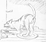  ambiguous_gender anus canid canine drawing feral fur hi_res kumacat13 looking_at_viewer mammal presenting raised_tail rumbling_stomach solo 