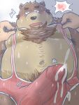  2021 anthro blush bodily_fluids brown_body brown_fur bulge clothed clothing cum dain_4201 ejaculation erection erection_under_clothing eyes_closed fur genital_fluids genital_outline grope hi_res humanoid_hands kemono male mammal moobs nipples overweight overweight_male penis_outline solo_focus sweat ursid 