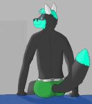  anthro big_eyes big_iris big_pupils biped canid canine clothed clothing dark_body dark_fur fox fur furgonomics furry-specific_brand green_body green_fur grey_body grey_fur hi_res light_body light_fur looking_at_viewer looking_back looking_back_at_viewer male mammal multicolored_body multicolored_fur neonthecopper12 one_eye_obstructed pupils shaded simple_background simple_eyes simple_shading sitting smile smiling_at_viewer solo text text_on_clothing text_on_underwear two_tone_body two_tone_fur two_tone_tail underwear underwear_only unnatural_colors 