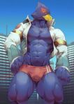  2021 abs absurd_res anthro avian bird blue_body bulge city clothing falco_lombardi hi_res jacket macro male muscular muscular_anthro muscular_male nintendo pecs speedo star_fox swimwear topwear tos_tos_f_ski video_games 