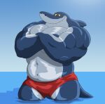  abs anthro blue_body bottomwear clothing crossed_arms fish flexing hi_res looking_down male marine muscular muscular_anthro muscular_male pecs red_eyes sea shark sharko shorts smile solo teeth water xxsparcoxx zig_and_sharko 