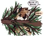  ambiguous_gender canid canine canis dialogue domestic_dog evergreen_tree feral french_text fur holding_in_mouth holding_object mammal multicolored_body multicolored_fur offscreen_character pine_tree plant shiba_inu solo speech_bubble spitz text tree wereshiba 