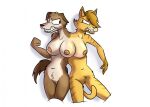  anthro breasts canid canine canis conjoined domestic_cat domestic_dog duo felid feline felis female genitals mammal pussy theyton 