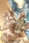  anthro bathing birry41 blush bodily_fluids bulge canid canine canis hi_res jackal looking_at_viewer male mammal seth_(tas) solo sweat tokyo_afterschool_summoners towel video_games water wet 