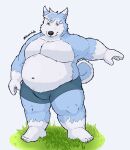  2021 absurd_res anthro belly blue_body blue_fur bottomwear canid canine canis clothing eeveecholo fur hi_res humanoid_hands male mammal navel overweight overweight_male shorts solo wolf 