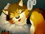  anthro barrel_(live-a-hero) bed blep canid canine canis clothing first_person_view furniture japanese_text live-a-hero looking_at_viewer male mammal muscular muscular_anthro muscular_male one_eye_closed pinestrain shirt tank_top text tongue tongue_out topwear wink wolf 