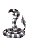  2021 ambiguous_gender black_body black_fur blue_eyes digital_media_(artwork) elkir feral fur furred_snake hi_res multicolored_body multicolored_fur reptile scalie simple_background snake solo striped_body striped_fur stripes white_background white_body white_fur 