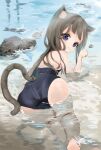  animal_ears ass nekomimi nina_(pixiv31869672) school_swimsuit swimsuits tail wet 