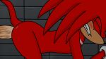  anal animated bathroom blush duo echidna embarrassed fur glory_hole hair humanoid knuckles_the_echidna male male/male mammal messy monotreme red_body red_fur red_hair solo sonic_the_hedgehog_(series) spankynutz69 struggling 
