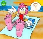 5_toes absurd_res amy_rose anthro barefoot book eulipotyphlan feet female hedgehog hi_res humanoid_feet mammal podfrog soles solo sonic_the_hedgehog_(series) toes video_games 