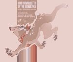  2021 4_toes ambiguous_gender canid canine digital_media_(artwork) feet feral mammal model_sheet paws solo toes volinfer 