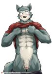  abs anthro beastars blush canid canine canis clothed clothing clothing_lift focused genitals kumak71395 legoshi_(beastars) male mammal muscular muscular_male pecs penis shirt shirt_lift solo topwear undressing wolf 