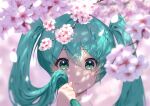  1girl aqua_eyes aqua_hair blurry blurry_background cherry_blossoms clenched_hand close-up collared_shirt commentary crying crying_with_eyes_open dappled_sunlight depth_of_field dot_nose expressionless eyebrows_visible_through_hair eyelashes face flower hair_between_eyes hand_up hatsune_miku highres holding holding_hair kurodae long_hair looking_at_viewer parted_lips petals pink_background pink_flower shadow shirt simple_background solo sunlight tareme tears tree_branch twintails upper_body very_long_hair vocaloid wide-eyed 