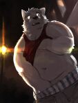  2021 3:4 anthro belly canid canine canis clothing domestic_dog kita_9999 male mammal navel night outside overweight overweight_male shirt solo topwear underwear 