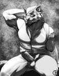  anthro clothing dbruin felid final_fantasy final_fantasy_xiv hi_res hrothgar male mammal solo spectacles square_enix topwear vest video_games 