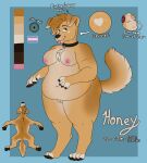  &lt;3 2021 anthro biped bird_dog black_collar blue_background breasts canid canine canis collar collar_only domestic_dog english_text female genitals golden_retriever goldiescales hi_res honey_(goldiescales) hunting_dog lgbt_pride mammal model_sheet nipples nude obese overweight pink_tongue pride_colors pussy retriever simple_background solo text tongue tongue_out trans_(lore) trans_man_(lore) 
