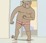  2006 anthro brown_body brown_fur bulge clothing fur humanoid_hands male mammal nipples osos overweight overweight_male underwear ursid 