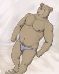  2006 anthro brown_body brown_fur bulge clothing fur male mammal moobs nipples osos overweight overweight_male solo underwear ursid 