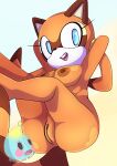  2019 absurd_res alternate_version_at_source anthro areola blue_eyes breasts eyelashes female genitals gradient_background hands_behind_head hi_res mammal marine_the_raccoon nipples nude open_mouth procyonid pussy raccoon saltwatertoffee simple_background solo sonic_the_hedgehog_(series) text url watermark 