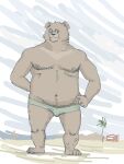  2006 anthro beach bulge clothing humanoid_hands male mammal moobs nipples osos outside overweight overweight_male seaside solo underwear ursid 