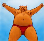  2005 anthro belly brown_body brown_fur clothing fur humanoid_hands low_res male mammal moobs navel nipples osos overweight overweight_male solo swimwear ursid 